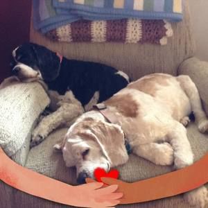 Meet your Posher, Sharyn